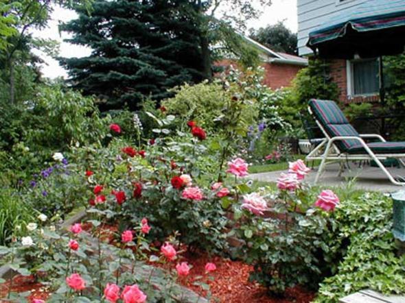 Dorchester House Bed and Breakfast Niagarawatervallen Buitenkant foto